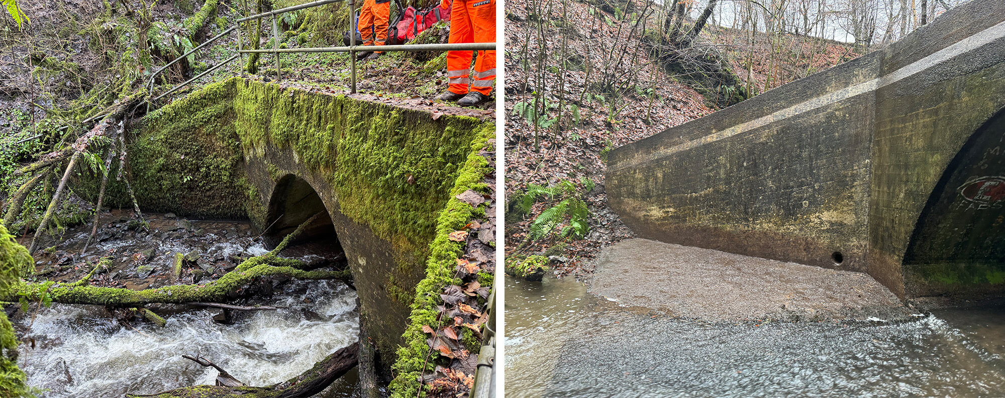 before and after devegetation work