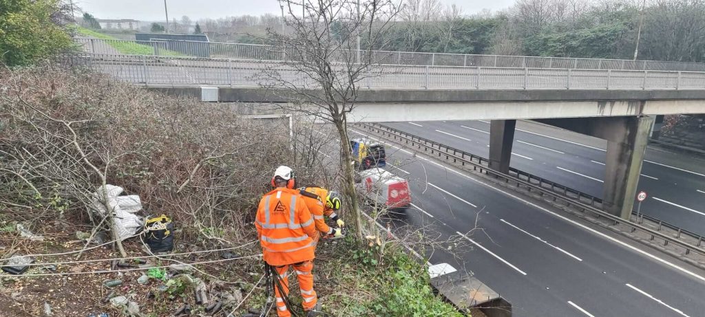 Rope Access tree surgery glasgow