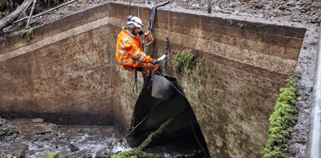 Building Devegetation Work