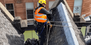 fixed ladder inspection