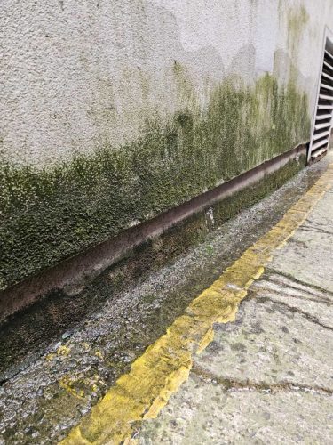 glasgow-building-repairs-rope-access-job-1