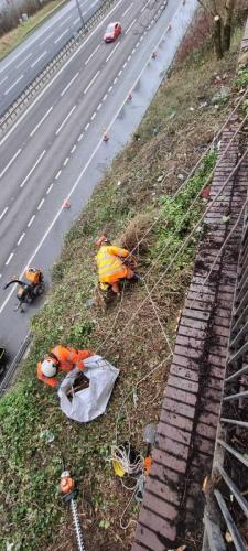 rope-access-tree-surgery-roadside-1
