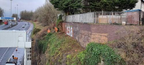 rope-access-tree-surgery-roadside-3
