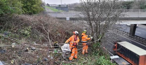 rope-access-tree-surgery-roadside-6