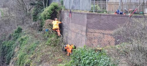 rope-access-tree-surgery-roadside-9