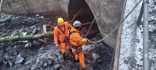 devegetation-case-study-2