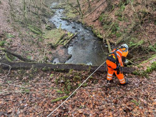 devegetation-case-study-3