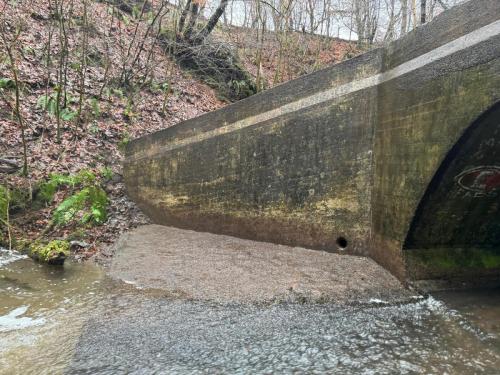 devegetation-case-study-4