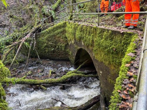 devegetation-case-study-5