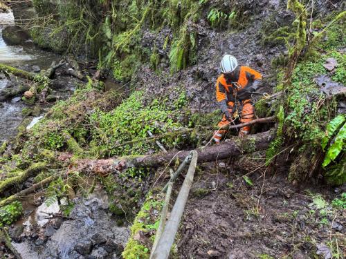 devegetation-case-study-6