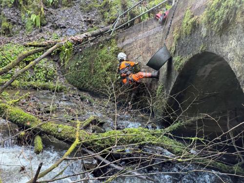 devegetation-case-study-7